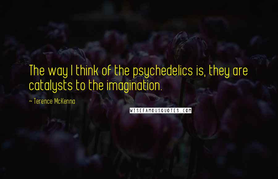 Terence McKenna Quotes: The way I think of the psychedelics is, they are catalysts to the imagination.