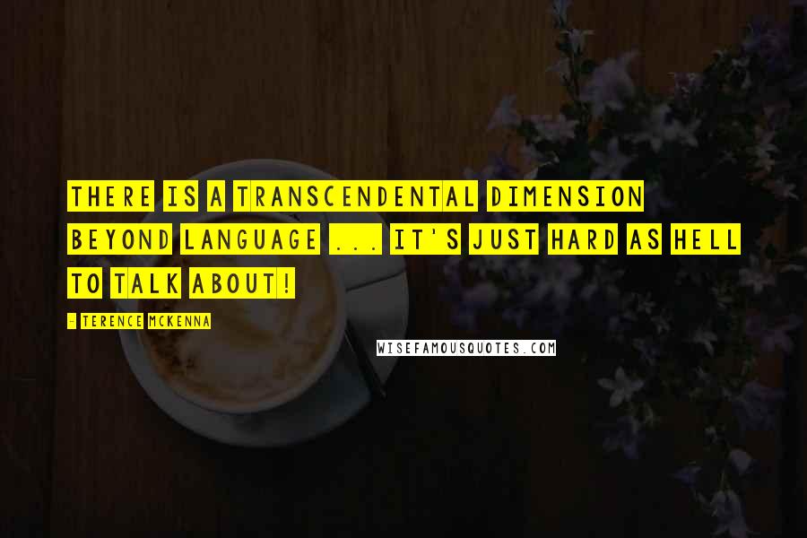 Terence McKenna Quotes: There is a transcendental dimension beyond language ... It's just hard as hell to talk about!