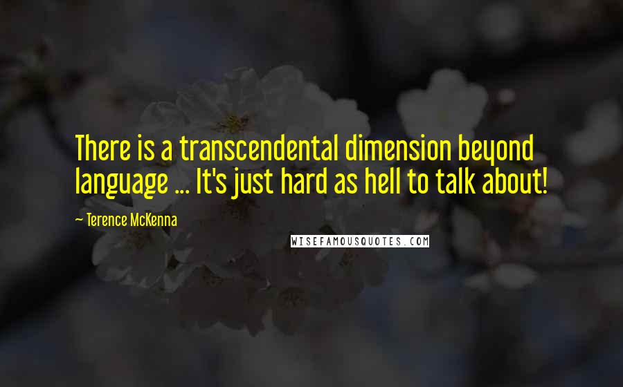 Terence McKenna Quotes: There is a transcendental dimension beyond language ... It's just hard as hell to talk about!