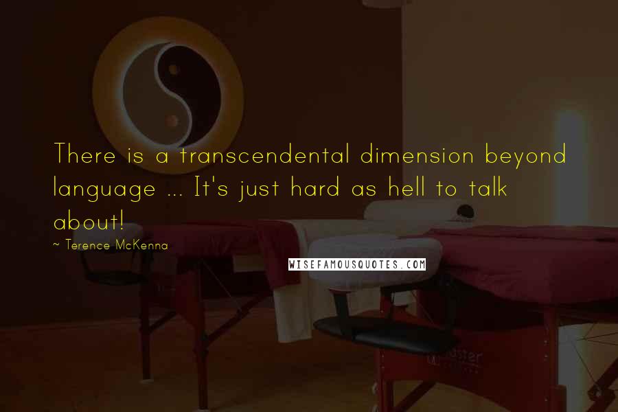 Terence McKenna Quotes: There is a transcendental dimension beyond language ... It's just hard as hell to talk about!