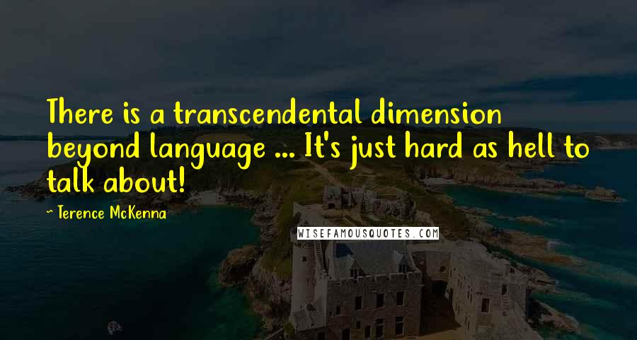 Terence McKenna Quotes: There is a transcendental dimension beyond language ... It's just hard as hell to talk about!