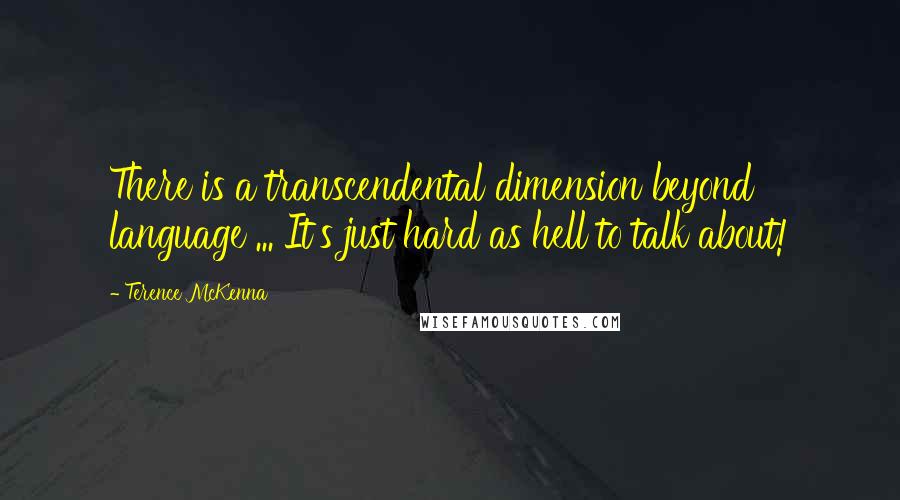 Terence McKenna Quotes: There is a transcendental dimension beyond language ... It's just hard as hell to talk about!