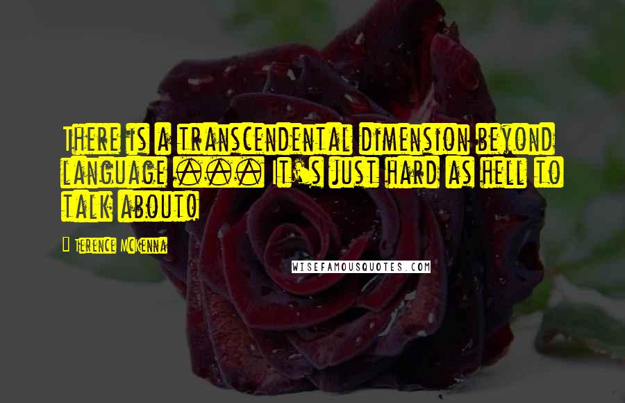 Terence McKenna Quotes: There is a transcendental dimension beyond language ... It's just hard as hell to talk about!