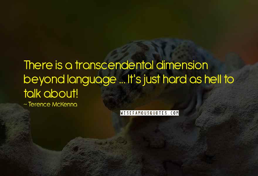 Terence McKenna Quotes: There is a transcendental dimension beyond language ... It's just hard as hell to talk about!