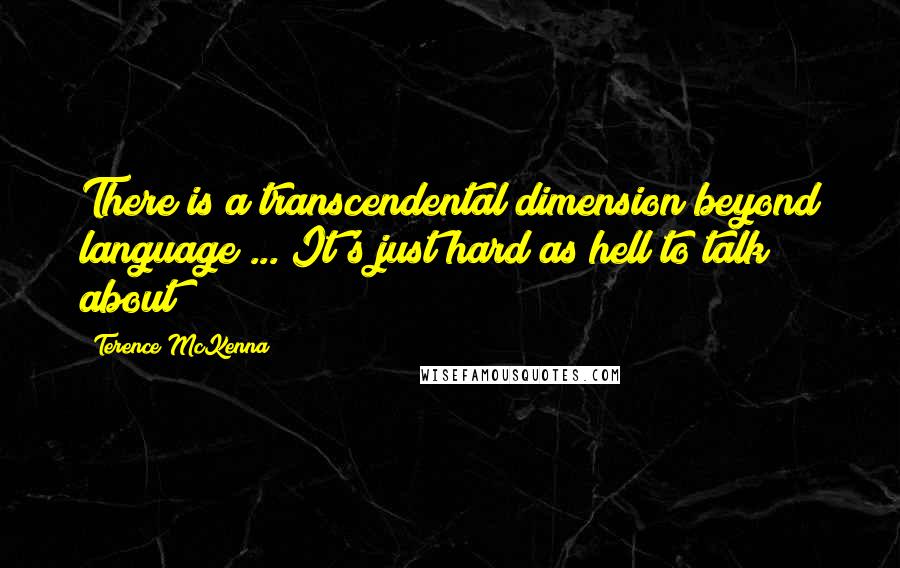 Terence McKenna Quotes: There is a transcendental dimension beyond language ... It's just hard as hell to talk about!