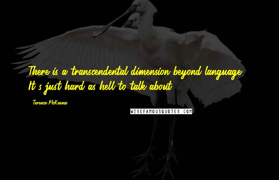 Terence McKenna Quotes: There is a transcendental dimension beyond language ... It's just hard as hell to talk about!