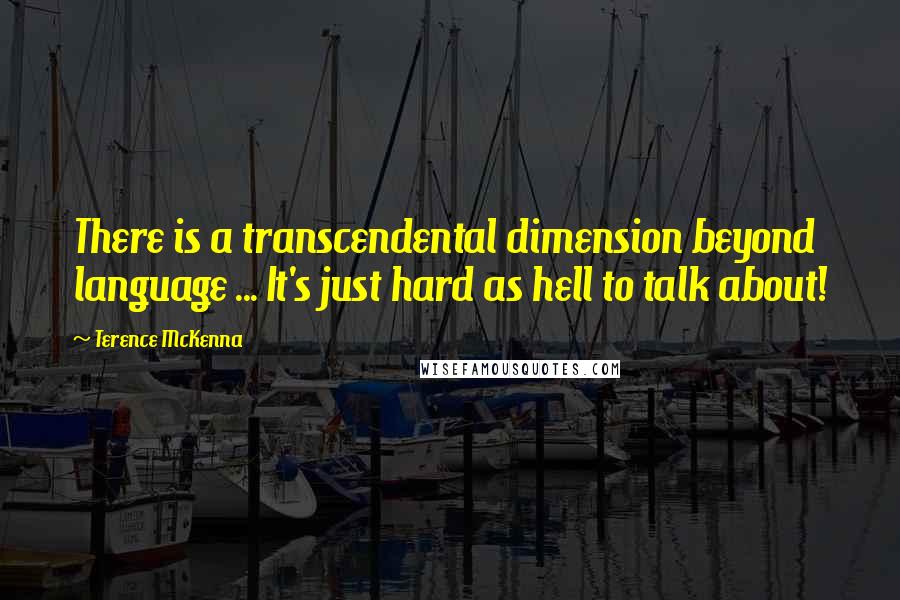 Terence McKenna Quotes: There is a transcendental dimension beyond language ... It's just hard as hell to talk about!