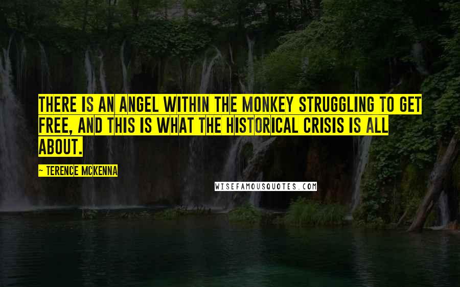 Terence McKenna Quotes: There is an angel within the monkey struggling to get free, and this is what the historical crisis is all about.