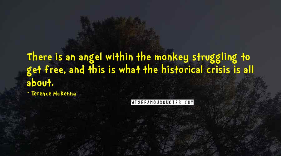 Terence McKenna Quotes: There is an angel within the monkey struggling to get free, and this is what the historical crisis is all about.