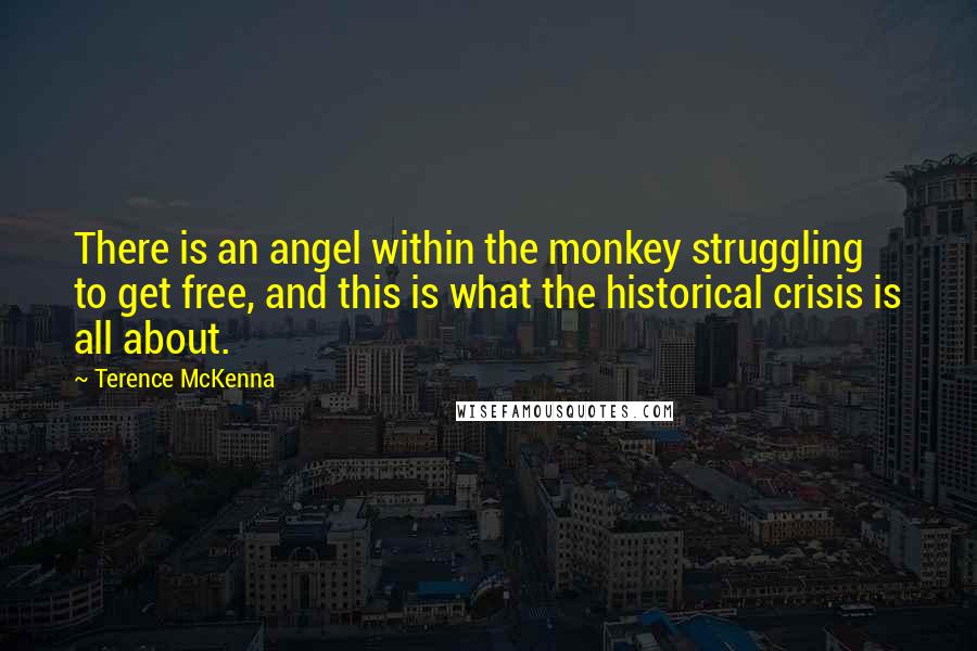 Terence McKenna Quotes: There is an angel within the monkey struggling to get free, and this is what the historical crisis is all about.