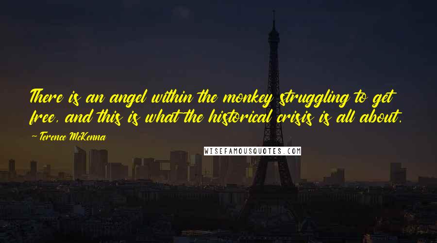 Terence McKenna Quotes: There is an angel within the monkey struggling to get free, and this is what the historical crisis is all about.