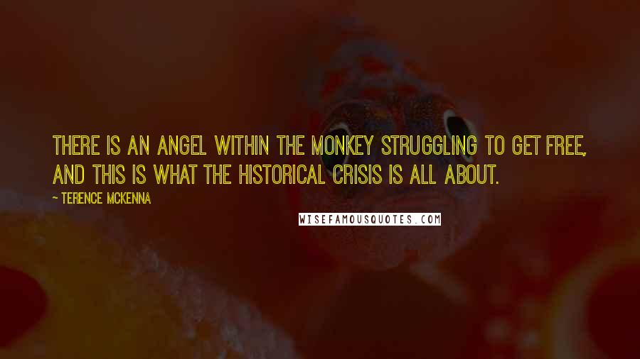 Terence McKenna Quotes: There is an angel within the monkey struggling to get free, and this is what the historical crisis is all about.