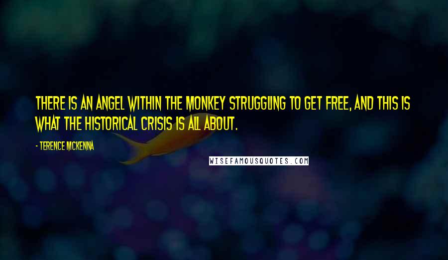 Terence McKenna Quotes: There is an angel within the monkey struggling to get free, and this is what the historical crisis is all about.