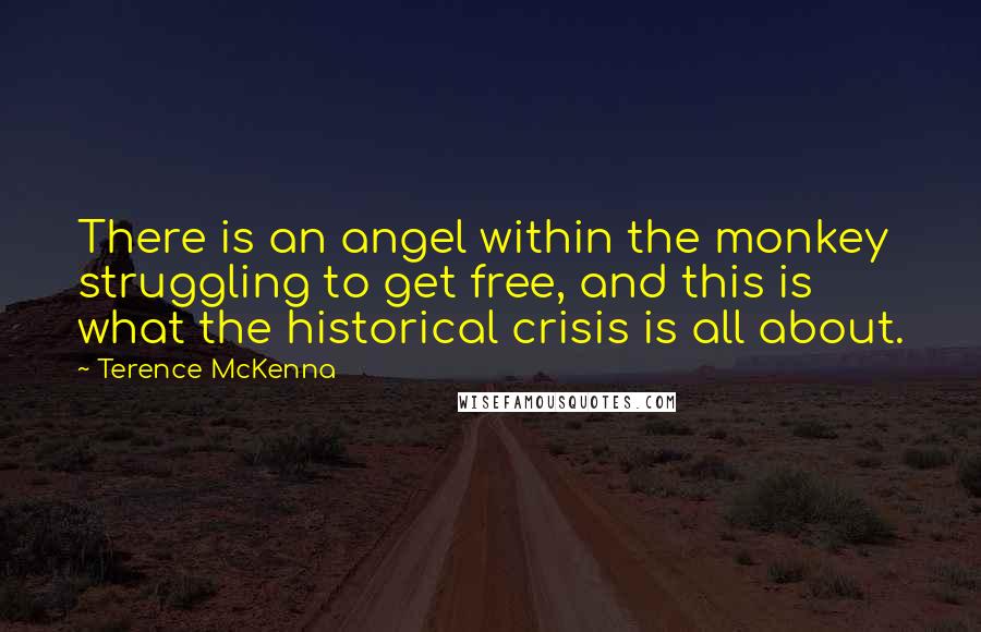 Terence McKenna Quotes: There is an angel within the monkey struggling to get free, and this is what the historical crisis is all about.
