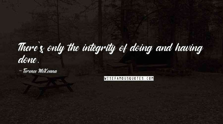 Terence McKenna Quotes: There's only the integrity of doing and having done.