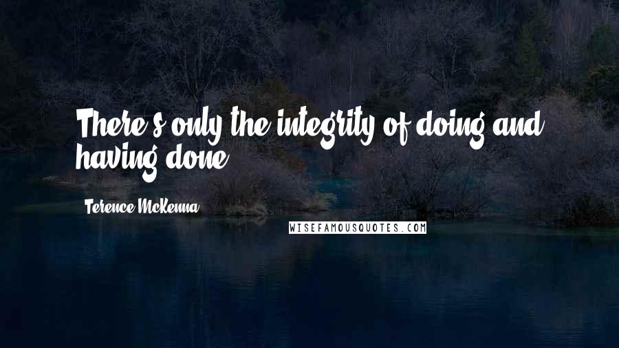 Terence McKenna Quotes: There's only the integrity of doing and having done.