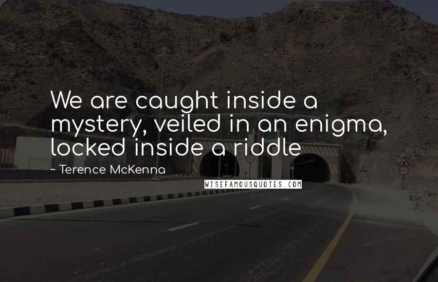 Terence McKenna Quotes: We are caught inside a mystery, veiled in an enigma, locked inside a riddle