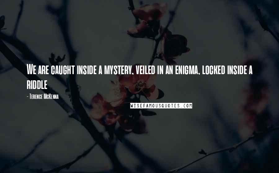 Terence McKenna Quotes: We are caught inside a mystery, veiled in an enigma, locked inside a riddle