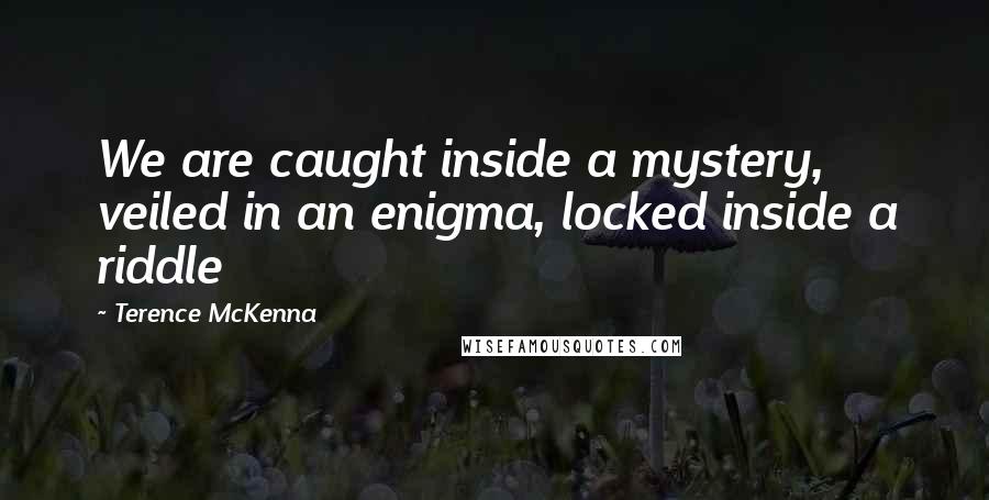 Terence McKenna Quotes: We are caught inside a mystery, veiled in an enigma, locked inside a riddle