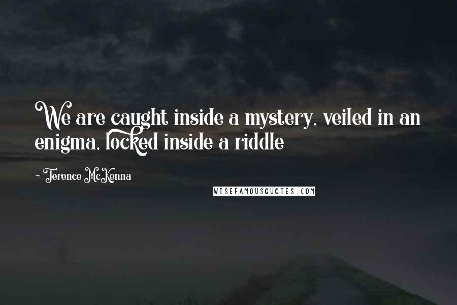 Terence McKenna Quotes: We are caught inside a mystery, veiled in an enigma, locked inside a riddle