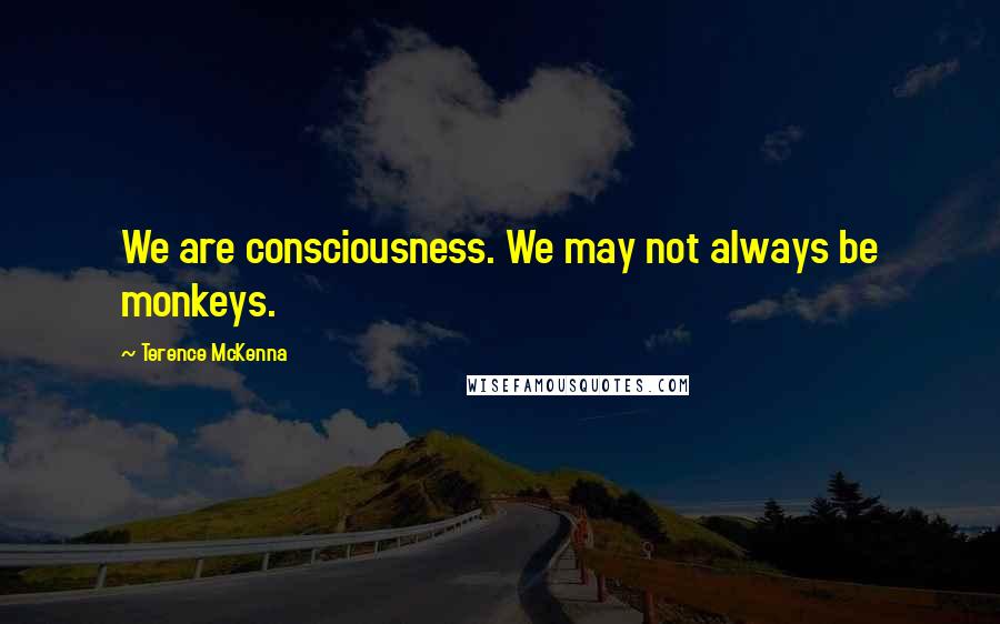 Terence McKenna Quotes: We are consciousness. We may not always be monkeys.