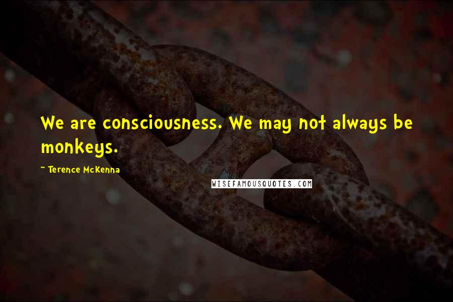 Terence McKenna Quotes: We are consciousness. We may not always be monkeys.