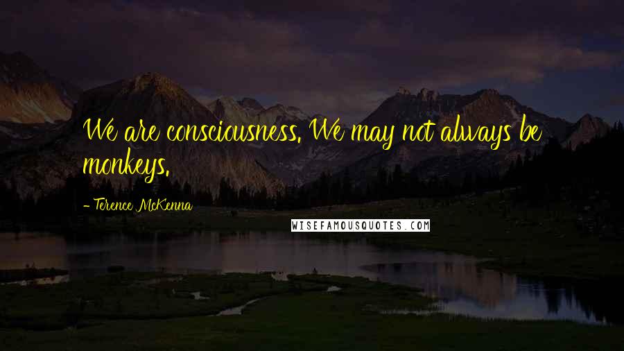 Terence McKenna Quotes: We are consciousness. We may not always be monkeys.