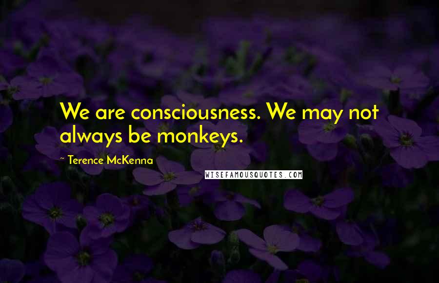 Terence McKenna Quotes: We are consciousness. We may not always be monkeys.