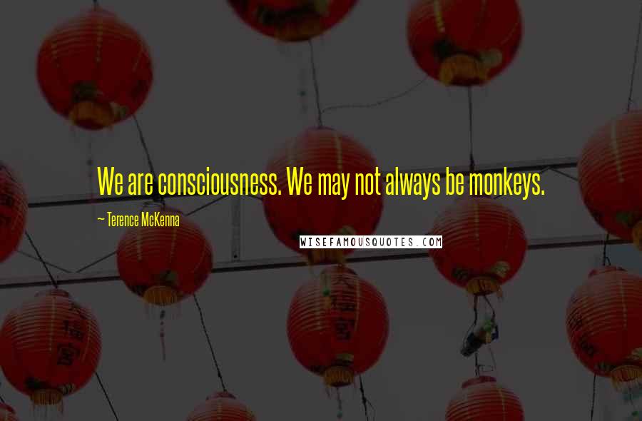 Terence McKenna Quotes: We are consciousness. We may not always be monkeys.