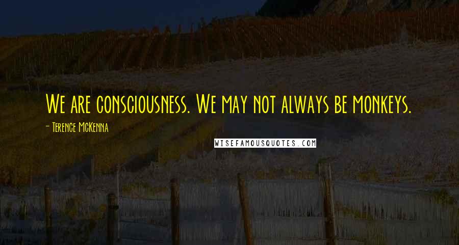 Terence McKenna Quotes: We are consciousness. We may not always be monkeys.