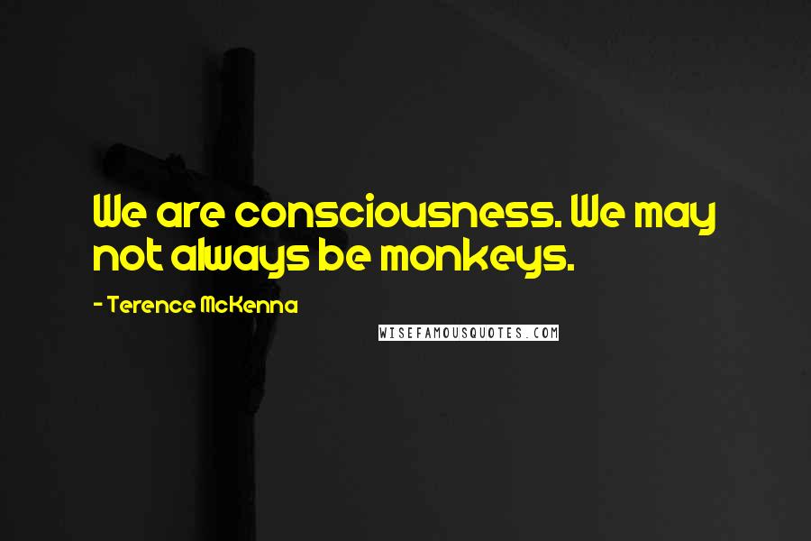 Terence McKenna Quotes: We are consciousness. We may not always be monkeys.