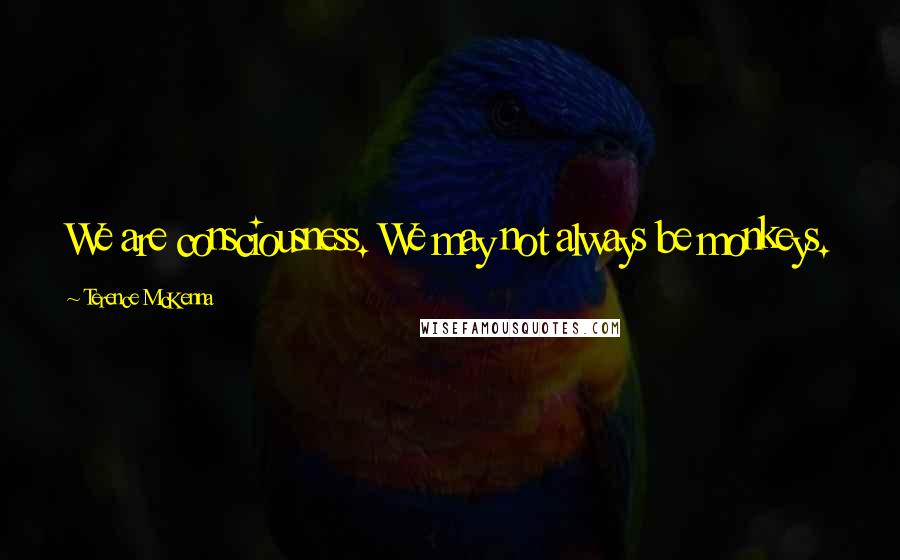 Terence McKenna Quotes: We are consciousness. We may not always be monkeys.