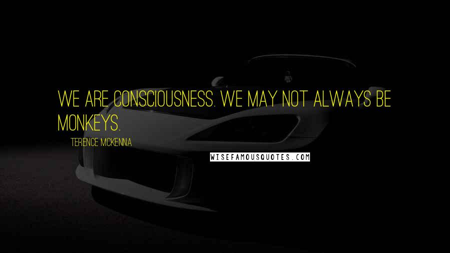 Terence McKenna Quotes: We are consciousness. We may not always be monkeys.
