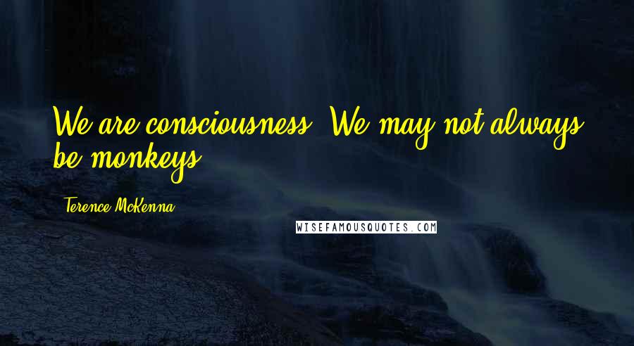 Terence McKenna Quotes: We are consciousness. We may not always be monkeys.