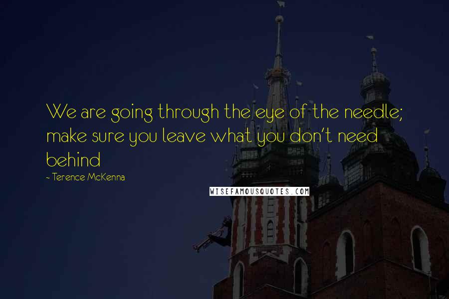 Terence McKenna Quotes: We are going through the eye of the needle; make sure you leave what you don't need behind