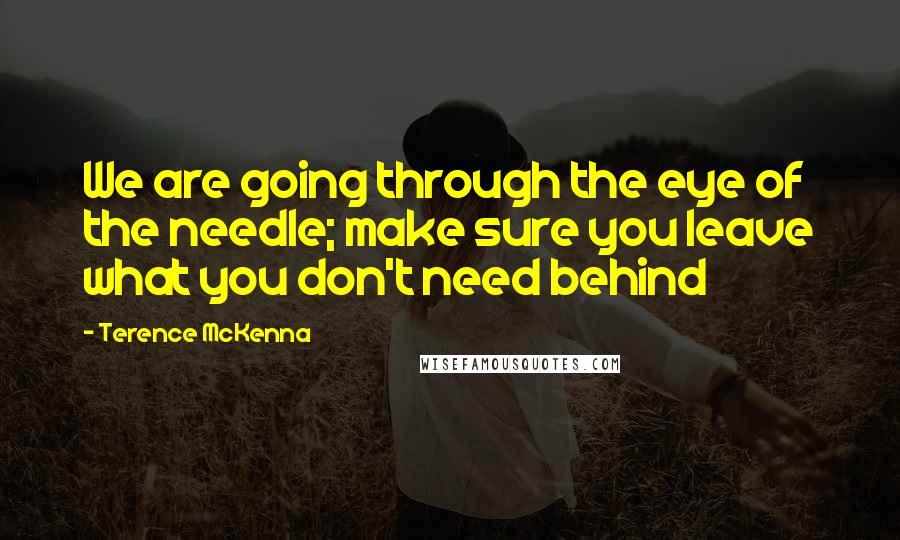 Terence McKenna Quotes: We are going through the eye of the needle; make sure you leave what you don't need behind