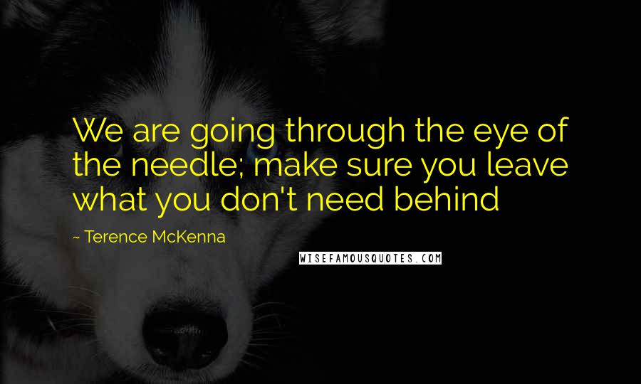 Terence McKenna Quotes: We are going through the eye of the needle; make sure you leave what you don't need behind