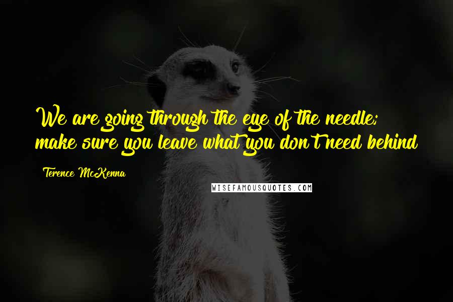 Terence McKenna Quotes: We are going through the eye of the needle; make sure you leave what you don't need behind