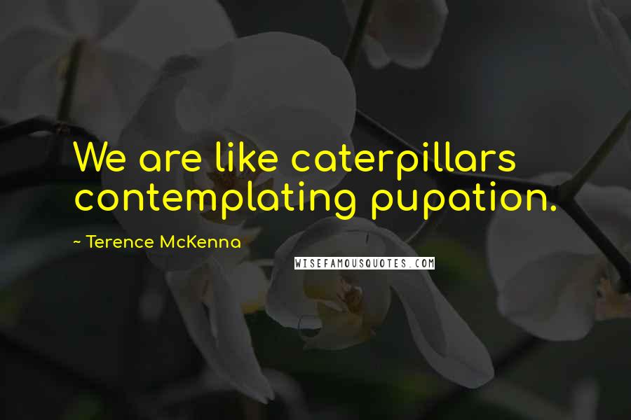 Terence McKenna Quotes: We are like caterpillars contemplating pupation.