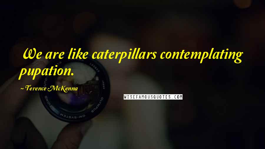 Terence McKenna Quotes: We are like caterpillars contemplating pupation.