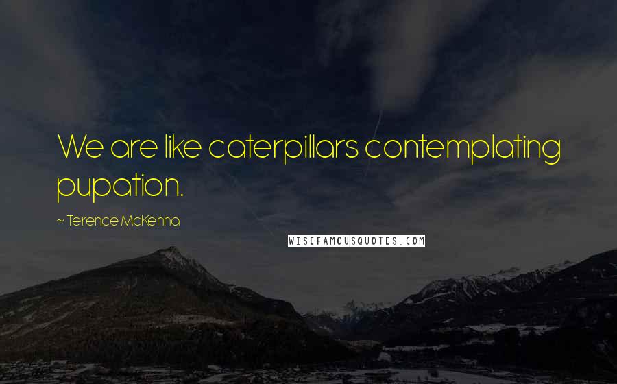 Terence McKenna Quotes: We are like caterpillars contemplating pupation.