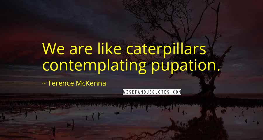 Terence McKenna Quotes: We are like caterpillars contemplating pupation.