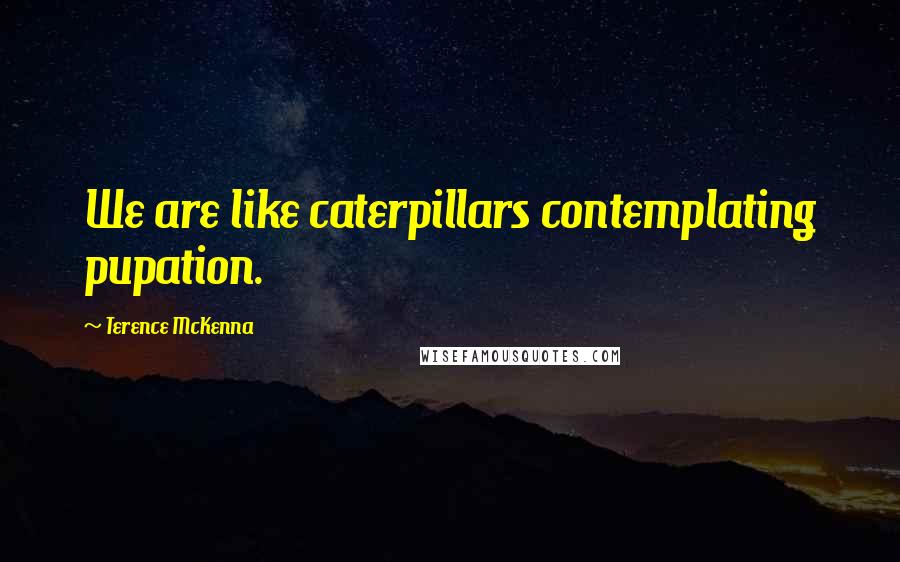 Terence McKenna Quotes: We are like caterpillars contemplating pupation.