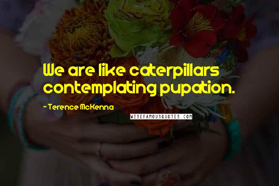 Terence McKenna Quotes: We are like caterpillars contemplating pupation.