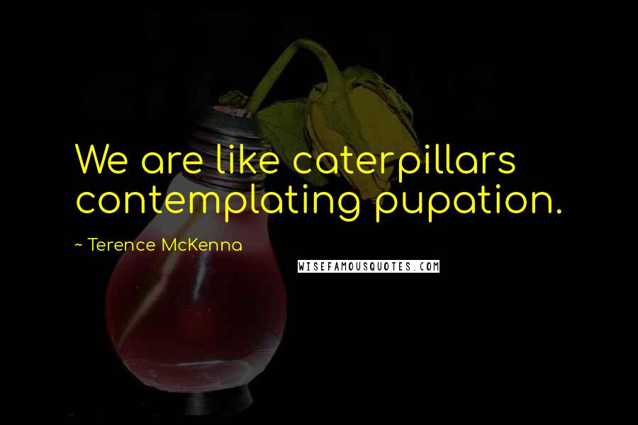 Terence McKenna Quotes: We are like caterpillars contemplating pupation.