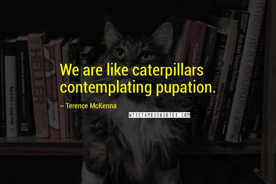 Terence McKenna Quotes: We are like caterpillars contemplating pupation.