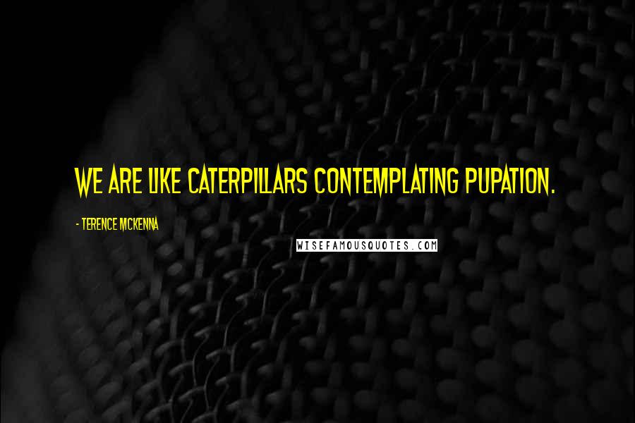 Terence McKenna Quotes: We are like caterpillars contemplating pupation.