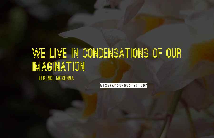 Terence McKenna Quotes: We live in condensations of our imagination