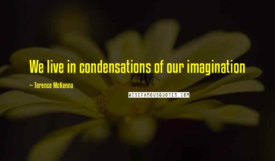 Terence McKenna Quotes: We live in condensations of our imagination