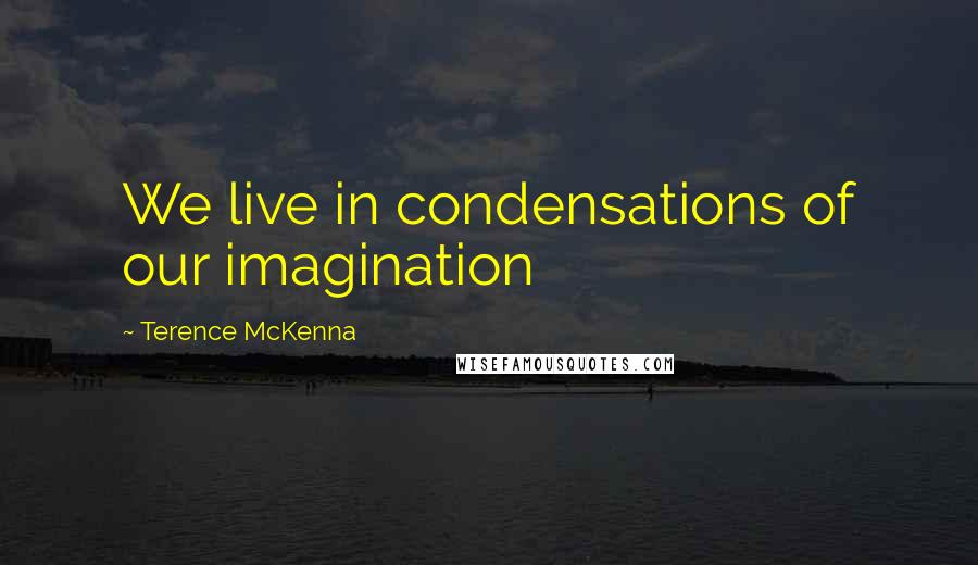 Terence McKenna Quotes: We live in condensations of our imagination